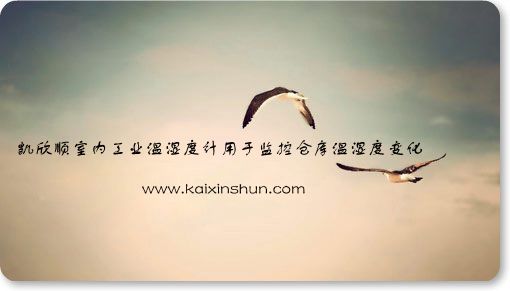 工業(yè)溫濕度計(jì)用于監(jiān)控倉(cāng)庫(kù)溫濕度變化
