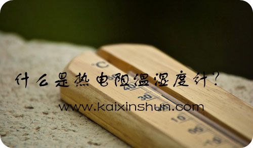 熱電阻溫濕度計(jì)