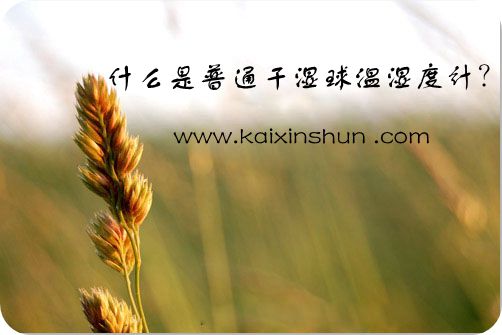 普通干濕球溫濕度計(jì)