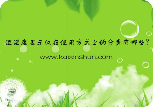 溫濕度顯示儀在使用方式上的分類(lèi)