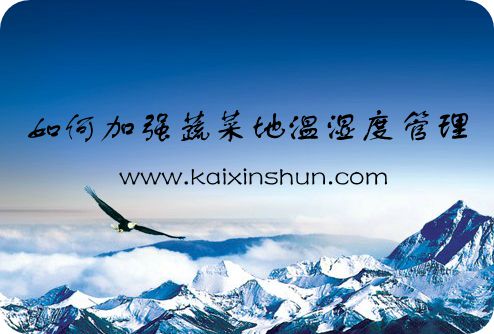 如何加強(qiáng)蔬菜地溫濕度管理